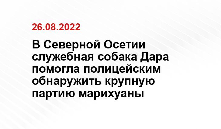 Пресс-служба МВД