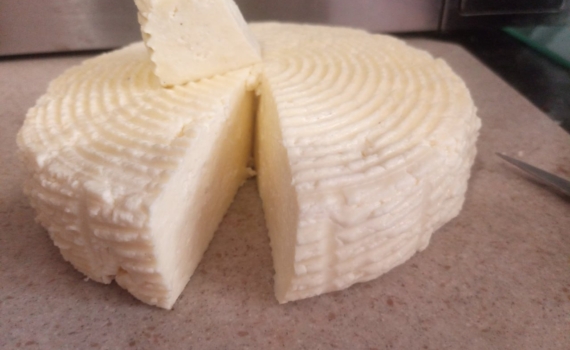 Секрет сыра Филадельфия за копейки: оставляю на ночь банку с молоком — утром семья в восторге